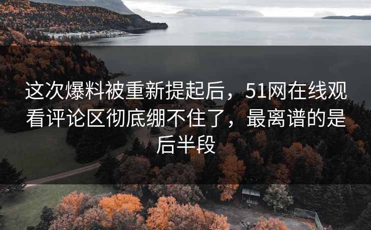 这次爆料被重新提起后，51网在线观看评论区彻底绷不住了，最离谱的是后半段