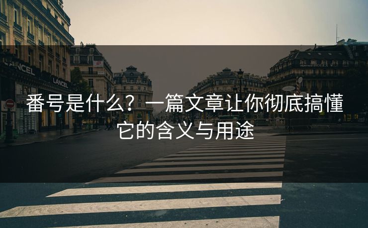 番号是什么？一篇文章让你彻底搞懂它的含义与用途